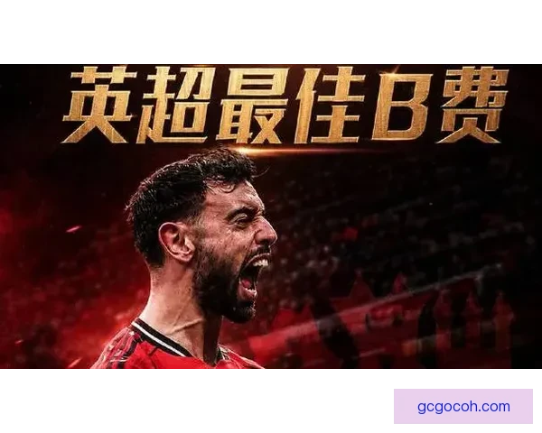 本赛季英超最佳球员评析 本赛季英超最佳球员评析